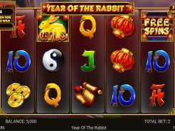 Year of the Rabbit